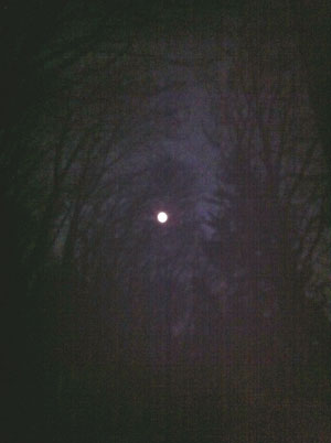 mond