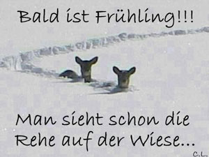 frühling